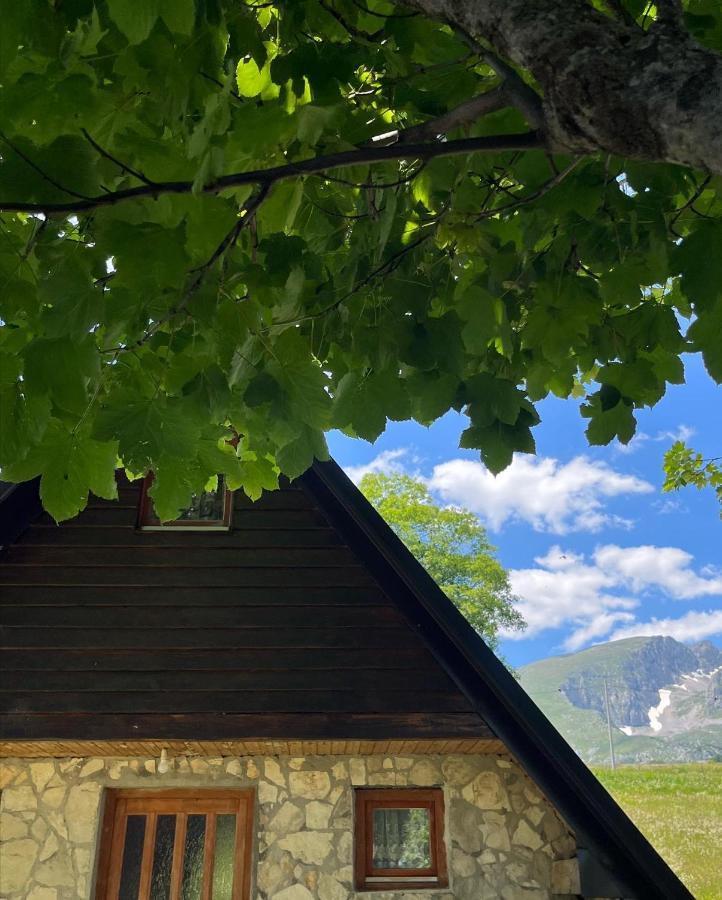 Apartman A&A Žabljak Esterno foto