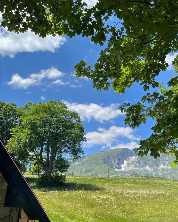 Apartman A&A Žabljak Esterno foto